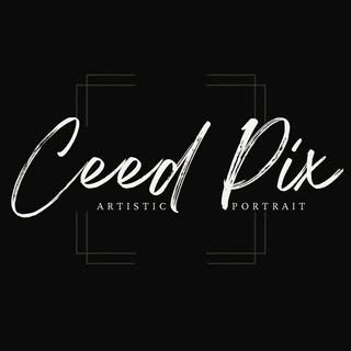 @ceedpix profile