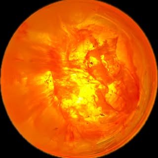 @gaias.calamity profile