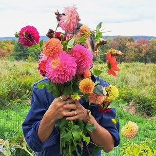 @luckyfishjann profile