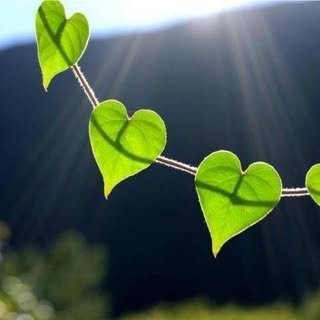 @mamamoonleaf profile