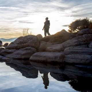 @mbrunophoto profile