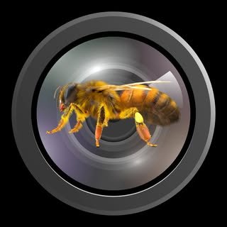 @photo.grabees profile