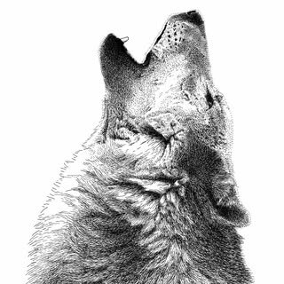 @scottwoyakart profile