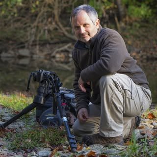 @tcrocephoto profile