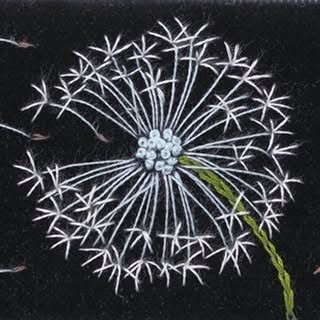 @velvetmeadow profile